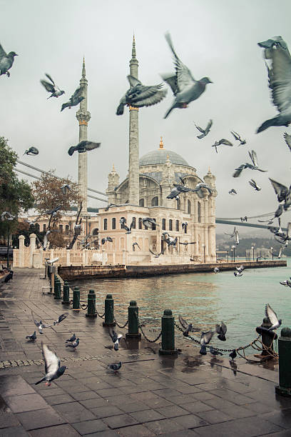 Flock of birds, quayside, Ortakoy