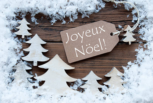 istock Label Trees Snow Joyeux Noel Mean Merry Christmas 487702574