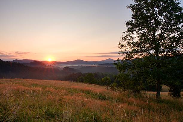 istock Sunrise Landscape.Early Morning Meadow. 487703142