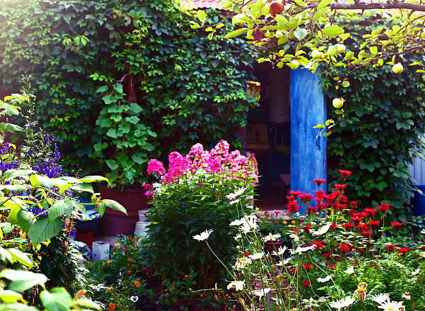 istock beautiful summer designed garden with flowers and 487705884
