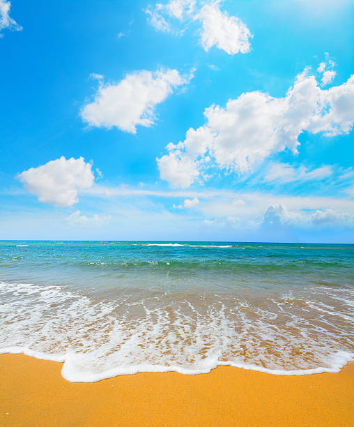 istock Porto Ferro shoreline under a cloudy sky 487707016