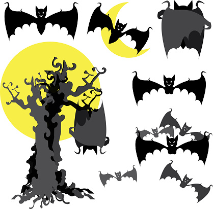 Bat collection of halloween. Vector illustration.