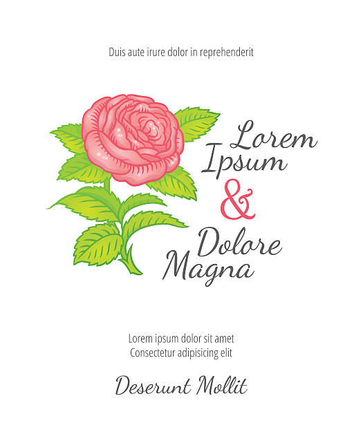 Wedding card with drawing roses in a classic retro style Wedding card with drawing roses in a classic retro style - vector flower design template family reunion images pictures stock illustrations
