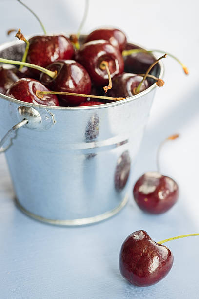 Cherries in a Bucket stock photo