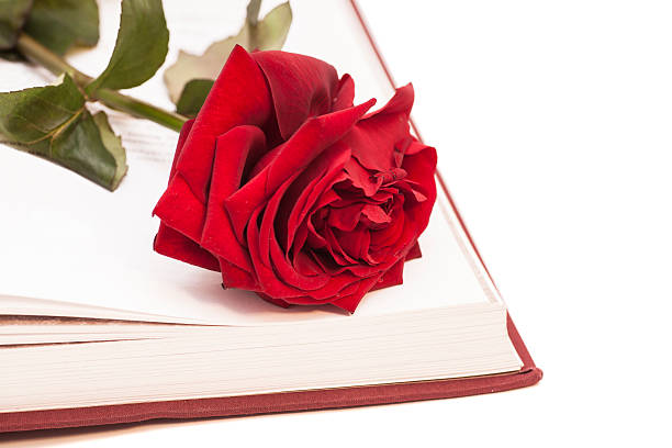 istock open book and red rose isolated on white 487720160