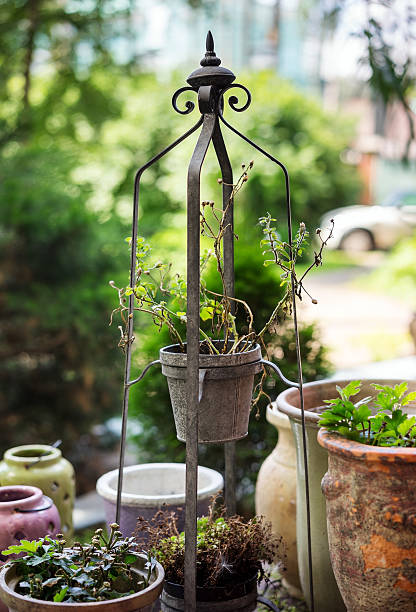 istock Dry flower in pot on metal stand 487720974