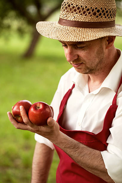 istock fruit grower in his orchard tasting apple harvest 487723407