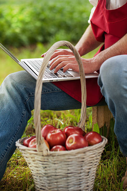 istock fruit grower in his orchard tasting apple harvest 487723445