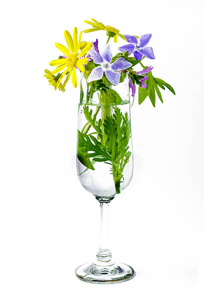 istock flowers in vase champagne flute 487724921