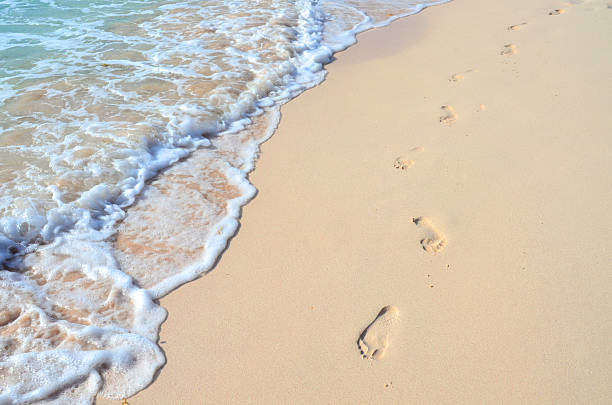 a pasos de la playa de meditación - sand footprint track following fotografías e imágenes de stock