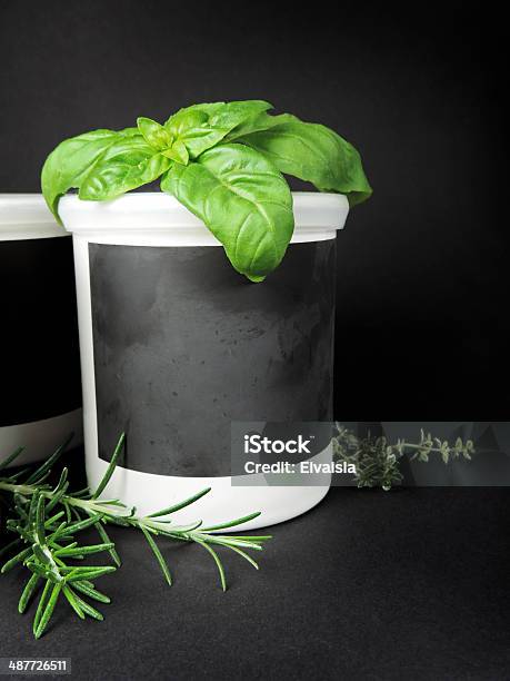 Fresh Herbs Stock Photo - Download Image Now - Basil, Black Background, Black Color