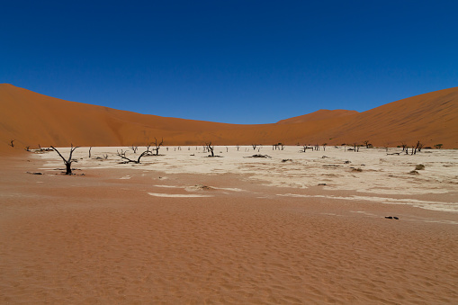 A view from Dead Vlei, Sossusvlei Namibia