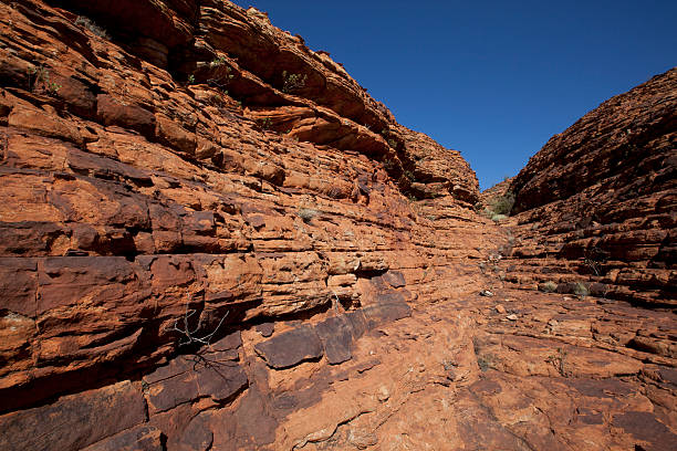 istock Kings canyon national park, Australia 487728025