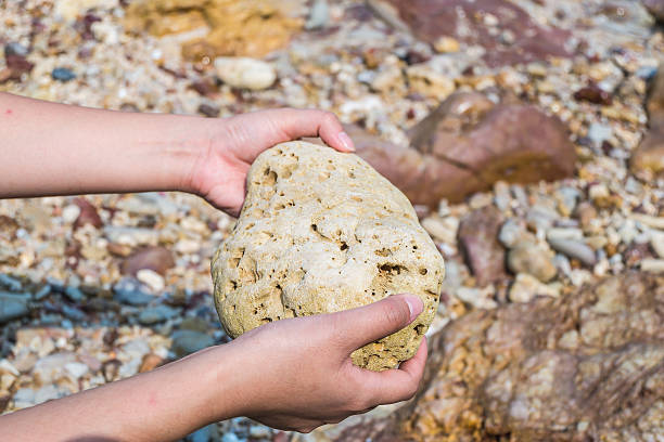 istock Female Hand holding Coral at the beach 487728451