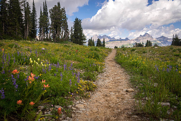 гранд-титон hiking trail - grand teton national park стоковые фото и изображения