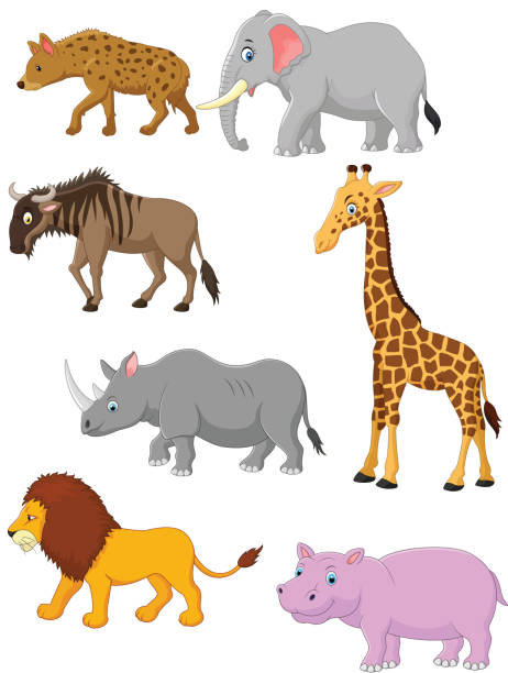 Collection animal africa lion, fun, mammal, vector, rhino, strong, africa, walk, illustration, giraffe, collection, large, side, cartoon, isolated, step, hippo, tail, comic, elephant, character, wildebeest, run, hyena, big, mascot, animal wildebeest running stock illustrations