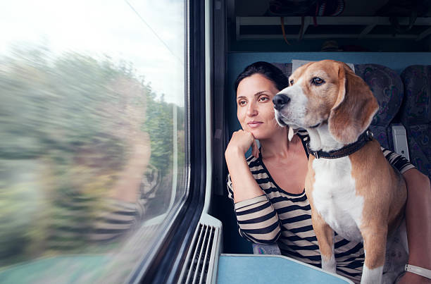 Woman travel with dog into the train wagon stock photo