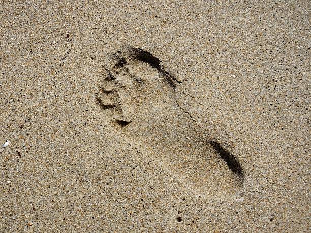 istock Footprint In The Sand 487732684