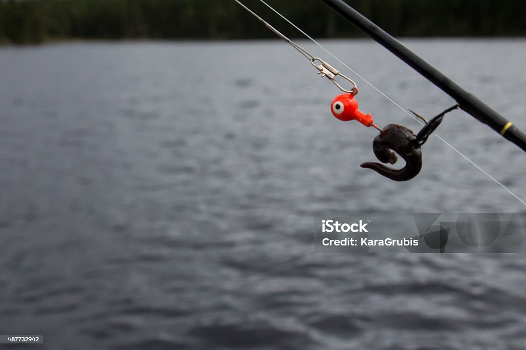 Walleye Fishing Lure Orange Jig With Leech Stock Photo - Download Image Now  - Leech, Fishing, 2015 - iStock