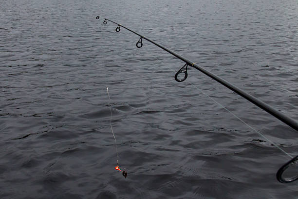 istock Fishing pole with walleye bait dangling over a dark lake 487732964