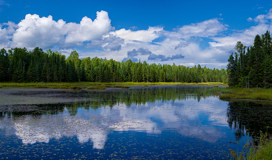 a calm summer day creates a mirror of cloud and forest reflections off of lake gust, in the superior national forest, minnesota.