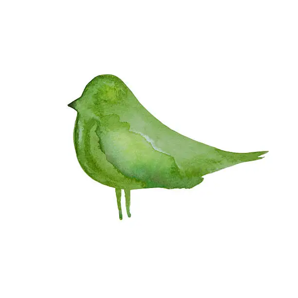 Green hand drawn watercolor bird. Handmade watercolour design element. Eco concept