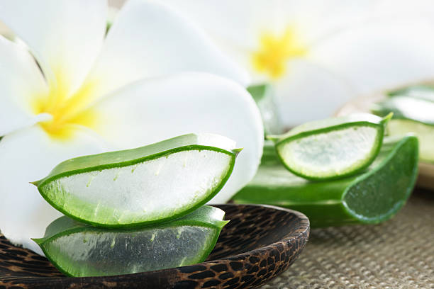 istock Close-up Aloe vera for skin treatment and spa 487739698