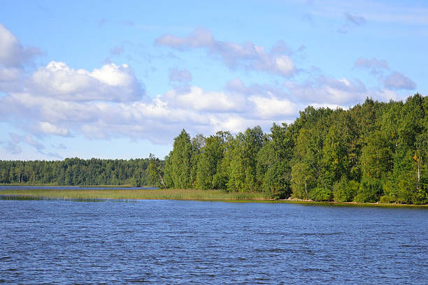 istock The shore of the lake. 487745602