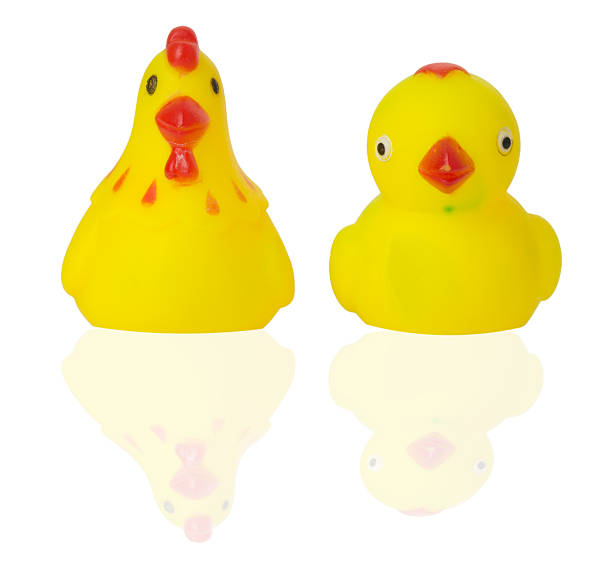 istock rubber toy duck and chicken on the white background 487746067