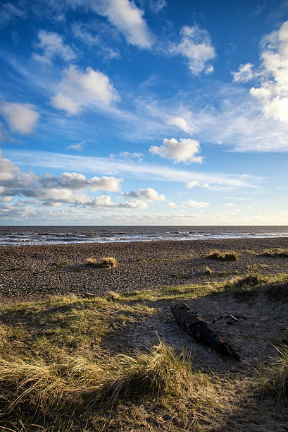 istock Blue sky Summer beach sunset landscape 487751509
