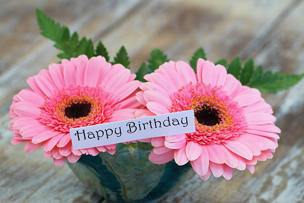 istock Happy birthday card with pink gerbera daisies 487752068