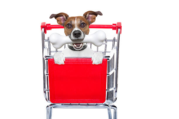istock shopping cart dog 487752326