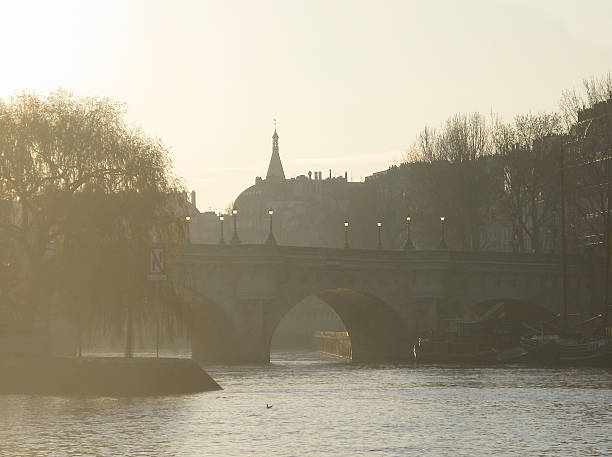 Paris bridge with glowing light posts, trees and city towers crossing the river Seine in golden morning sunlight from the right bank on a winter day in Paris, France.