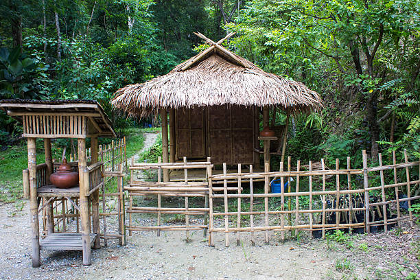 istock Image of a rustic seaside wood cottage. 487755158