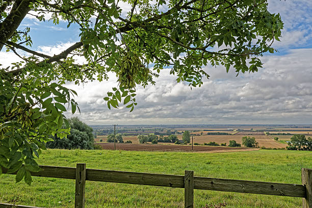 istock Lincolnshire Fens,UK 487755556