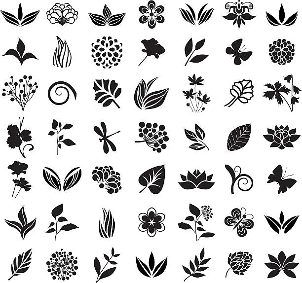 czarny kwiatowy elementy - chrysanthemum single flower flower pattern stock illustrations