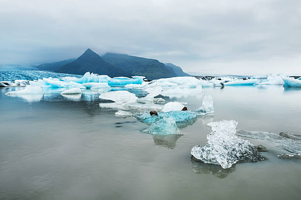 istock Icebergs in the glacial lake with mountain views 487756366