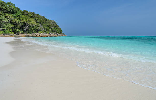 istock White sand beach of tropical crystal sea 487758904