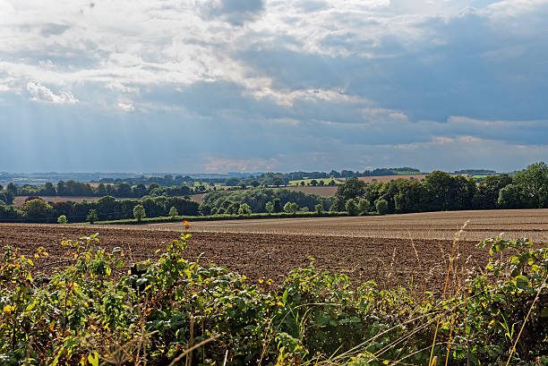istock Lincolnshire Wolds,UK 487760166