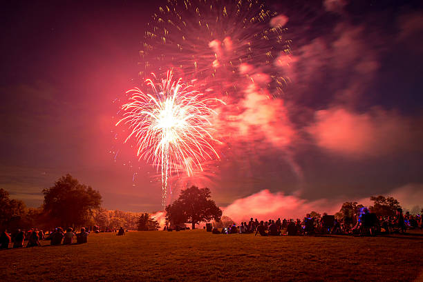 istock People looking at fireworks in honor of Independence Day 487760664