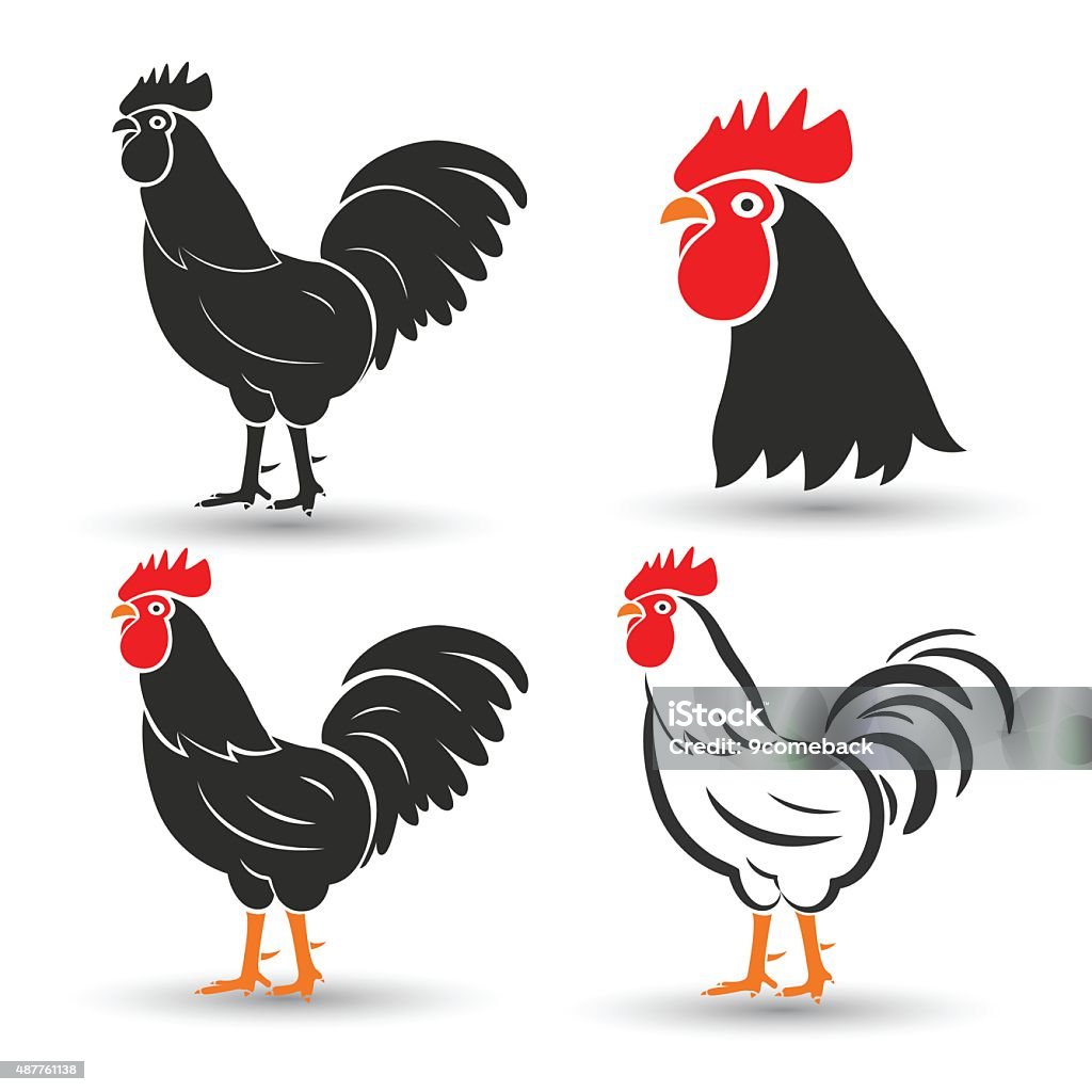 Chicken Chicken and cock hand drawn sketch on white background , vector illustration 2015 stock vector