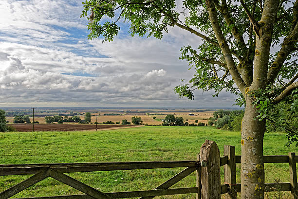 istock Lincolnshire Fens,UK 487763942
