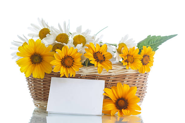 istock bouquet of yellow and white daisies 487764392