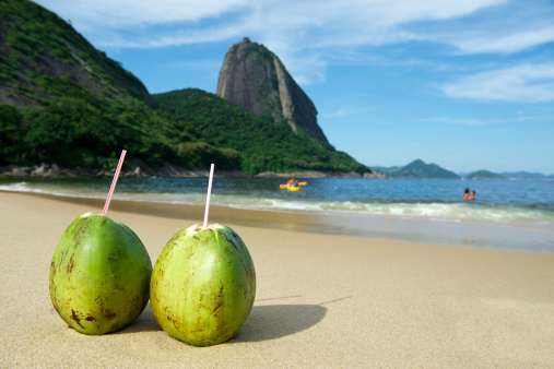 Two fresh coco gelado drinking coconuts on Red Beach Praia Vermelha at Sugarloaf Mountain Rio de Janeiro Brazil