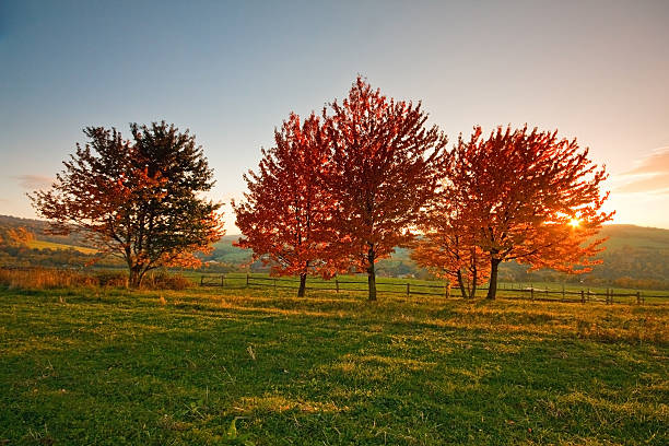 istock Countryside in Czech Republic. 487770707