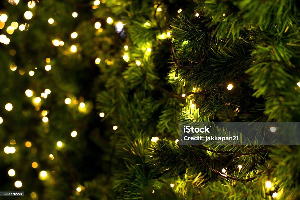 christmas tree christmas tree on blurred background Christmas Tree Stock Photo