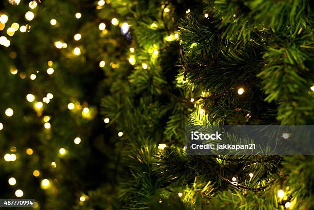 Christmas Tree Stock Photo - Download Image Now - Christmas Tree, Close-up, Christmas