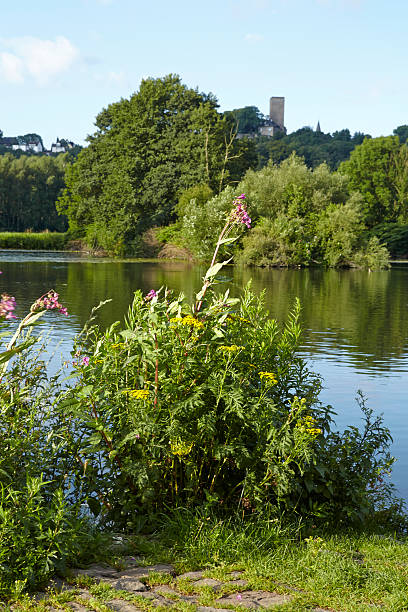 istock Bochum (Germany) - River Ruhr underneath the Castle Blankenstein 487771206