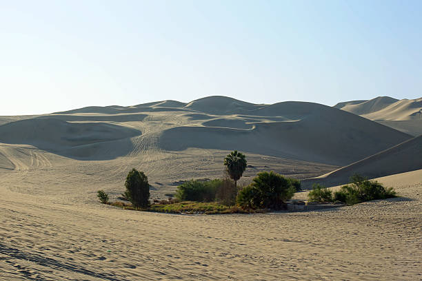 istock Huacachina Lagoon Reserved Zone 487771842