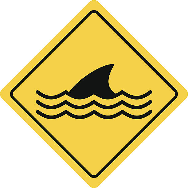 Dangerous Sea Life Sign Dangerous Sea Life Sign great white shark stock illustrations